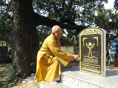 Hòa[-]thượng[-]Thích[-]Đồng[-]Tiến,[-]trụ[-]trì[-]chùa[-]Đá[-]Trắng,[-]bên[-]cây[-]xoài[-]cổ[-]thụ[-]và[-]bia[-]công[-]nhận[-]Cây[-]di[-]sản
